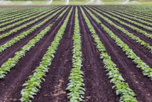 Precision farming definition